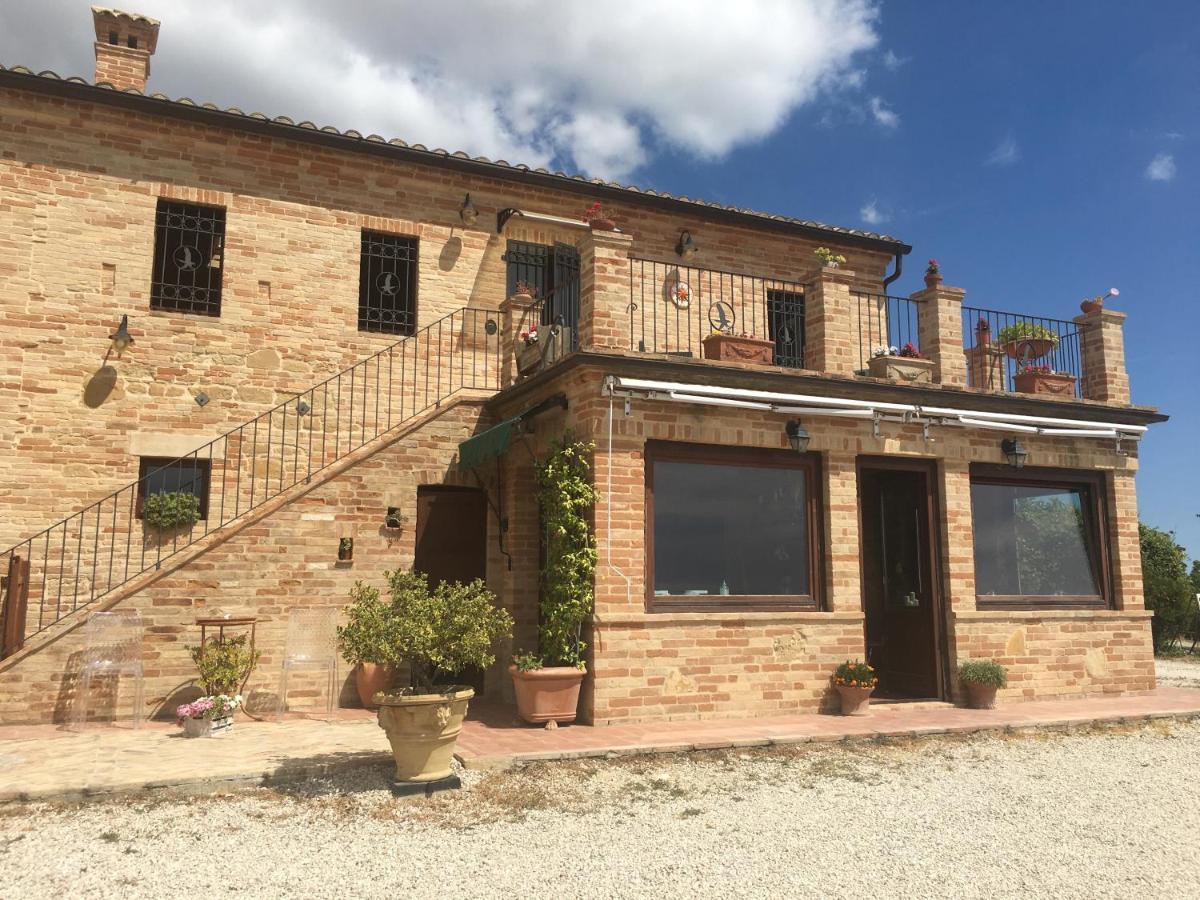 Colle Dei Falchi